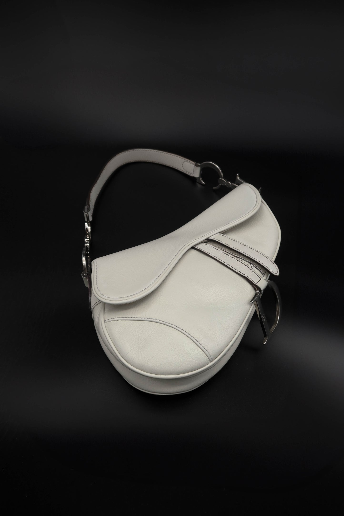 DIOR SADDLE BY JOHN GALLIANO