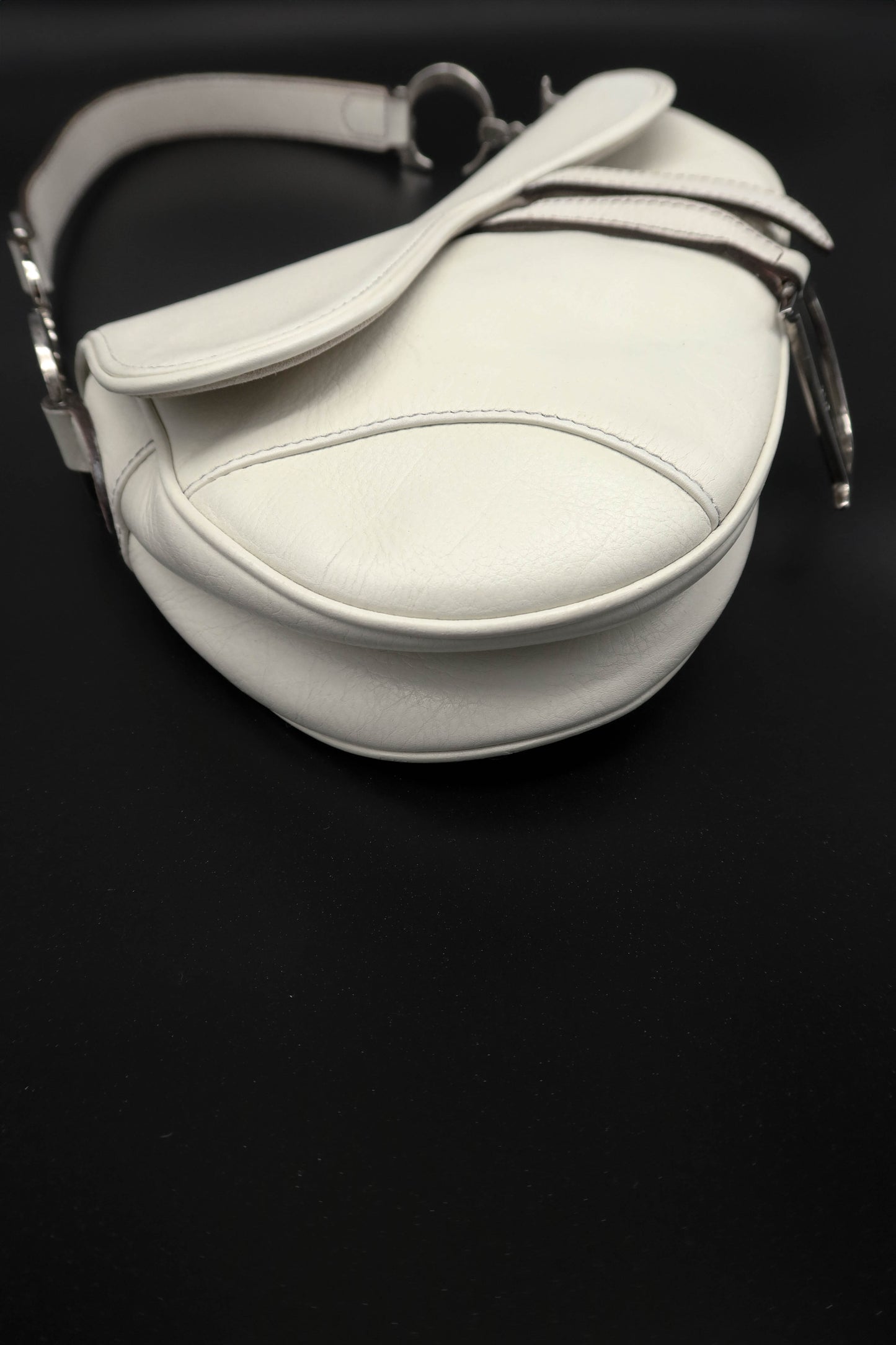 DIOR SADDLE BY JOHN GALLIANO